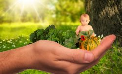 Top 5 All Natural Baby Vitamins