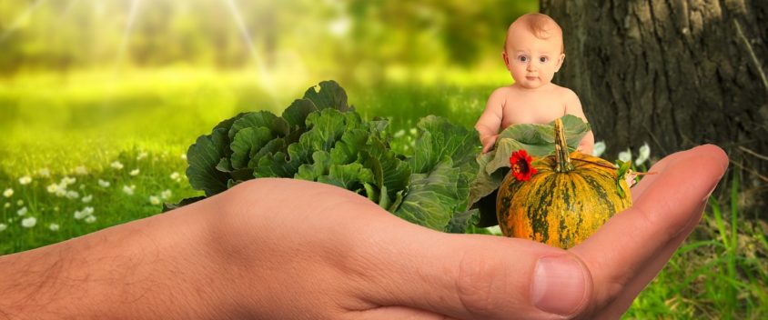 Top 5 All Natural Baby Vitamins