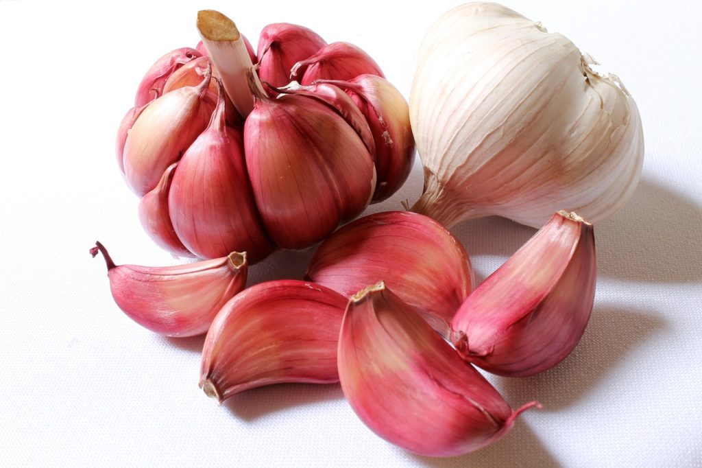The Healing Power of Garlic