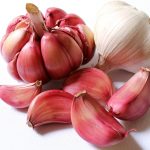 The Healing Power of Garlic