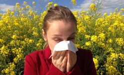 Allergies Acting Up? Try These Natural Remedies