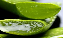 Stomach Pain? Drink Some Aloe Vera Juice