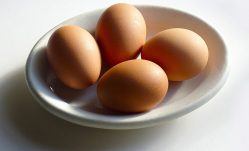 Why Protein Is Important Post Workout