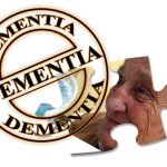 How to Minimize the Risks of Alzheimer's Disease