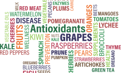 Quercetin - How It Can Make Us Live Longer