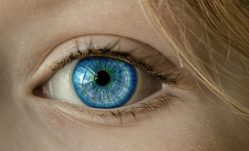 Ways to Promote Optimal Eye Health