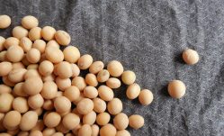 What Is Soy Lecithin and Why Is It Found in Almost Everything?