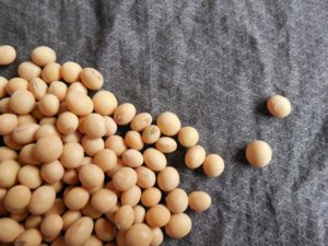 What Is Soy Lecithin and Why Is It Found in Almost Everything?