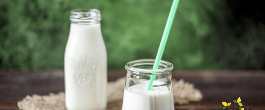 The Truth about Dairy: Separating Myth from Fact